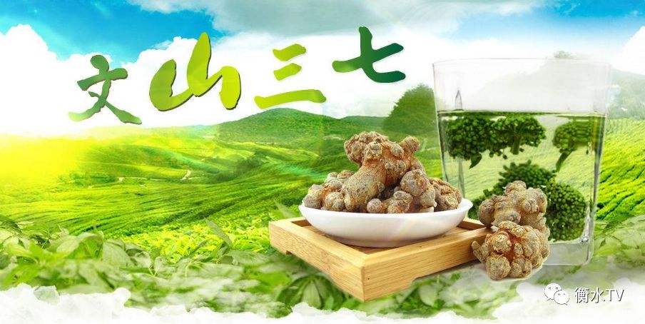 如何挑选三七是最好的,教你如何挑选好的三七