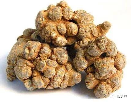 如何挑选三七是最好的,教你如何挑选好的三七