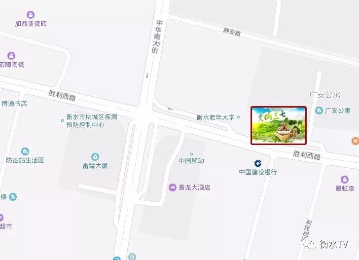 如何挑选三七是最好的,教你如何挑选好的三七