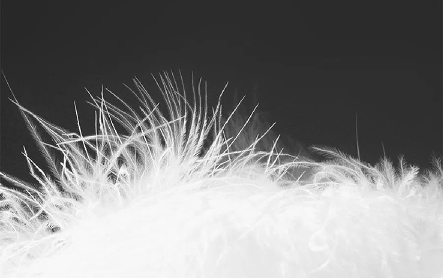 石墨烯多功能羽绒毯,新款多功能便携羽绒盖毯