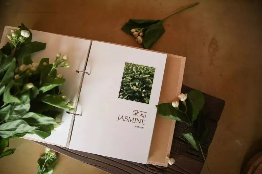 平价超级补水的护肤品,补水纯露国货好物推荐