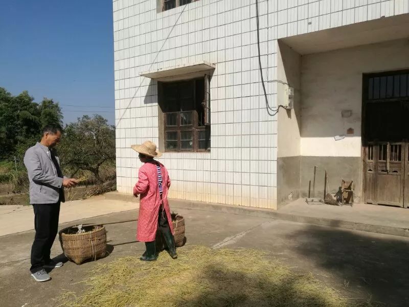 我的驻村日记之我为群众办实事,驻村工作民情日记