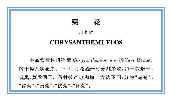 野生菊花与菊花区别,野生的山菊花是不是叫野菊花