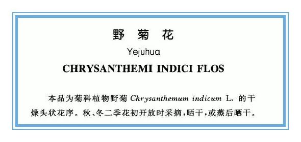 野生菊花与菊花区别,野生的山菊花是不是叫野菊花