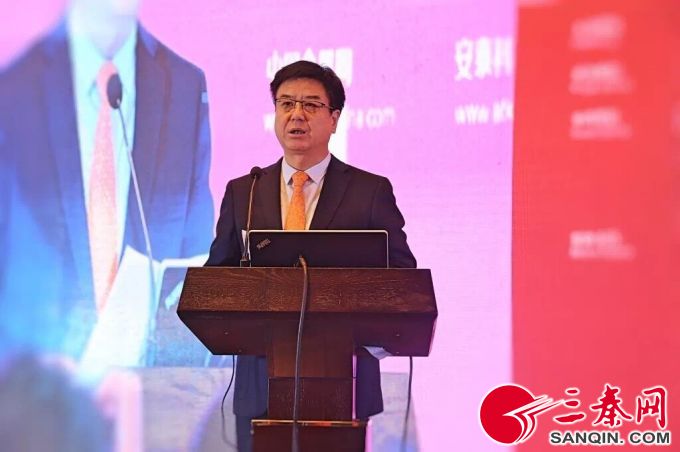 2010年第几届中国铅锌年会,2019中国国际矿业大会