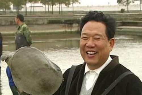 廖荣辉养鳖走上致富路,从养鳖走出来的致富道路