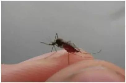 药店里几毛钱的药膏,竟能缓解治疗12种常见病痛!不看亏大啦~