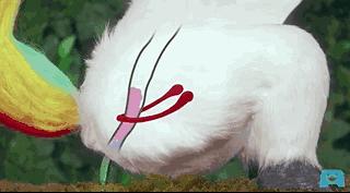 中国式蹲坑席卷温哥华！我们蹲个厕所，怎么就被蹲成了上亿的生意？