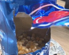 给跪了!在办公室用公司饮水机煮火锅,奇葩网红还用各种工具烹饪食物……这种脑洞大开要不得!