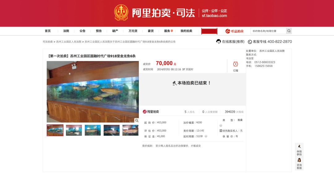 柴犬登登的现状,柴犬登登拍卖最后的钱去哪里了