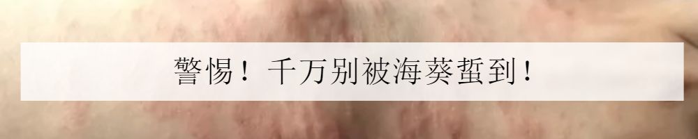 海水小百科四间雀,海底小百科帝王蟹