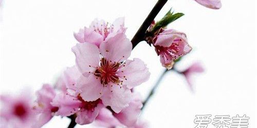 2019年是几月几日立春,2019年农历立春是什么时候