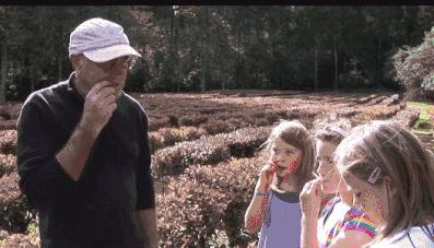 它被称为闭着眼都可以入的新西兰好物，小红书上已抢疯！