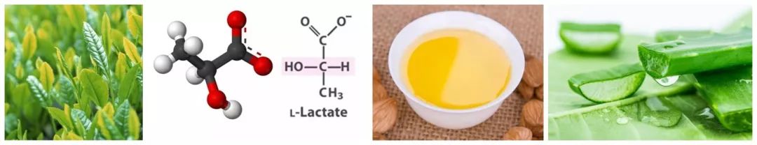 它被称为闭着眼都可以入的新西兰好物，小红书上已抢疯！