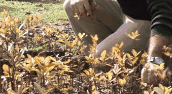 它被称为闭着眼都可以入的新西兰好物，小红书上已抢疯！