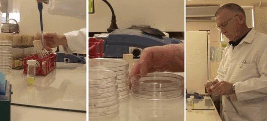 它被称为闭着眼都可以入的新西兰好物，小红书上已抢疯！