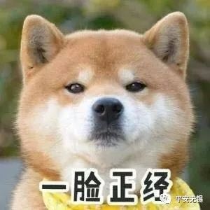 安全防范︱肃州公安：“双十一”还没到，这些“客服”先忙翻了！