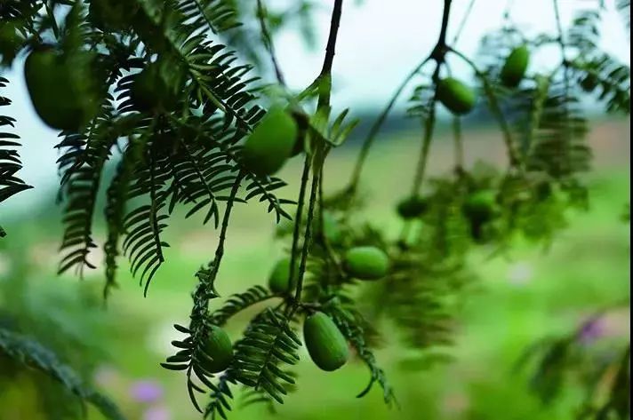 钱塘江附近景点,钱塘江免费打卡点