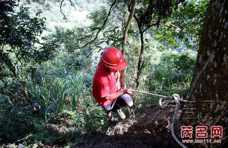 父亲为了孩子扔下悬崖,狠心父亲将女儿抛下山崖