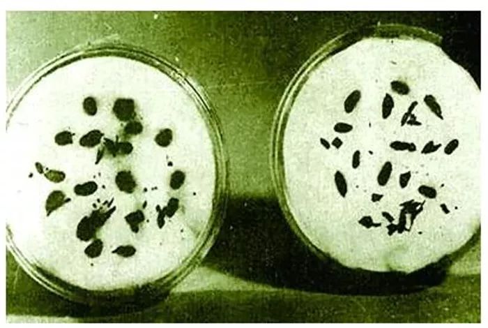 涉过时光的巨流｜上海六千年