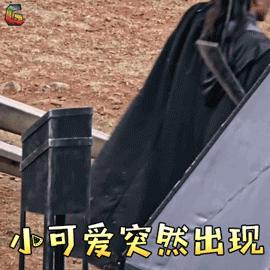 2020成都武侯区小学前十名,武侯区公立小学排名一览表