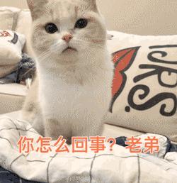 相城这家“小老弟”企业,凭什么敢做三星的“挑战者”?