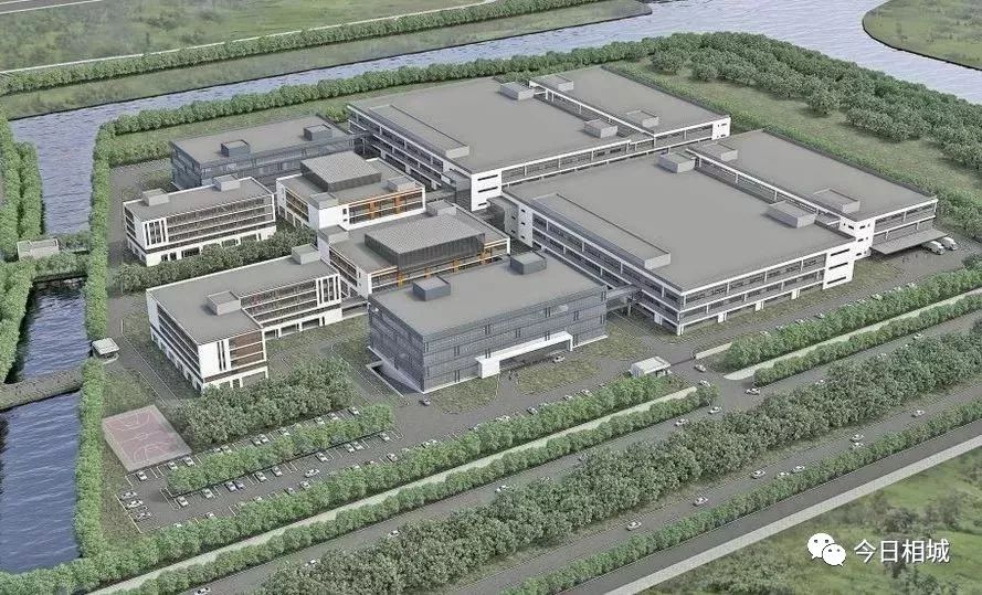 相城这家“小老弟”企业,凭什么敢做三星的“挑战者”?