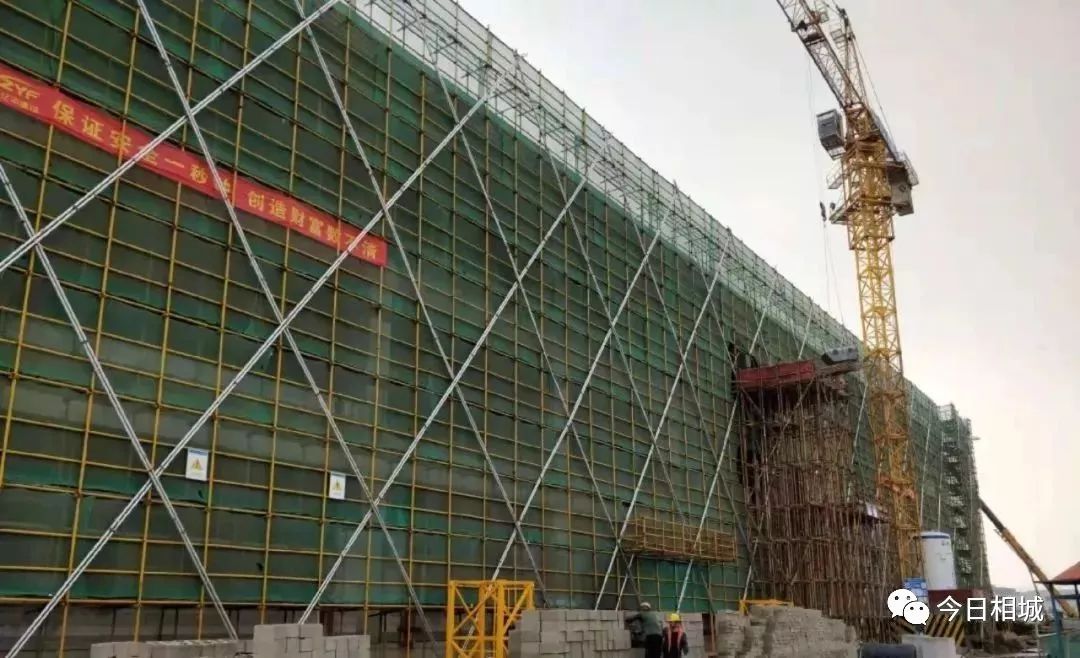 相城这家“小老弟”企业,凭什么敢做三星的“挑战者”?