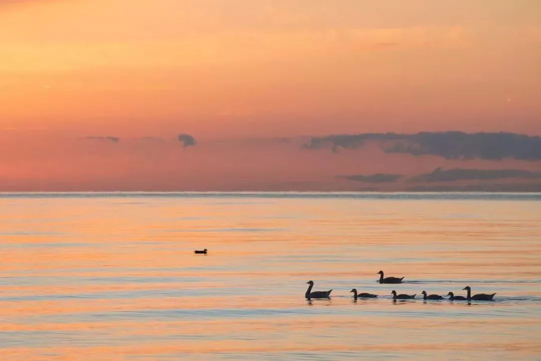 最容易错的常见的成语,50个常考常错的成语