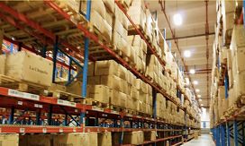 娼墝champion鏉ヨ,娼墝champion鏂版