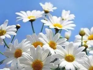 香水身体乳推荐哪款,好用的香水身体乳推荐