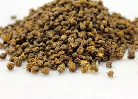 野生菊花与菊花区别,野生的山菊花是不是叫野菊花