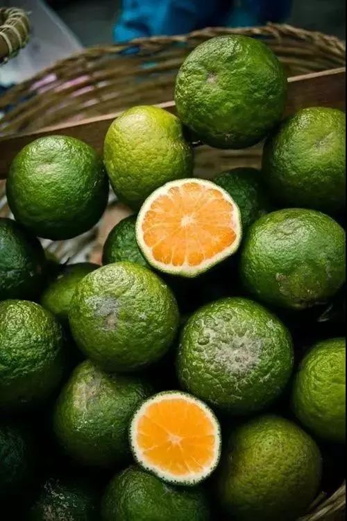 春季吃丑橘有啥好处,常吃丑橘有什么好处