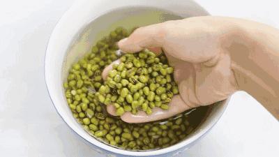 在家种菜，不用土不用肥，“一张纸”就搞定