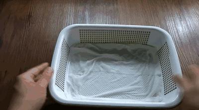 在家种菜，不用土不用肥，“一张纸”就搞定