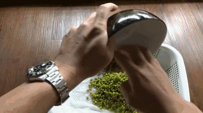 在家种菜，不用土不用肥，“一张纸”就搞定