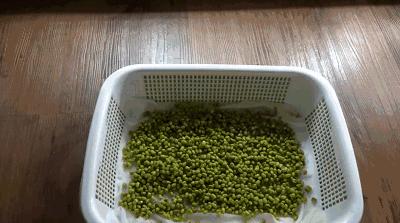 在家种菜，不用土不用肥，“一张纸”就搞定