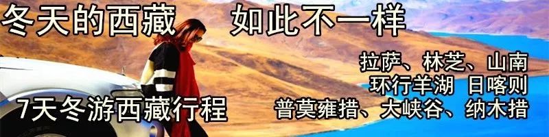 旅行社内部人员揭密旅游“*规则潜**”，国内各大景区慌了……