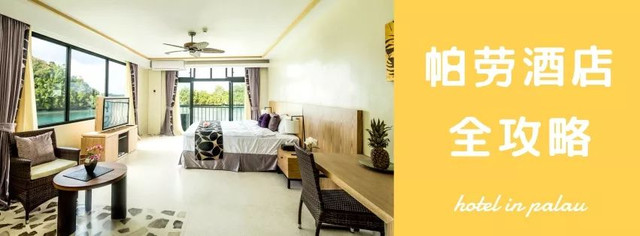 帕劳不潜水旅游攻略,帕劳自由行最值得去的潜水天堂