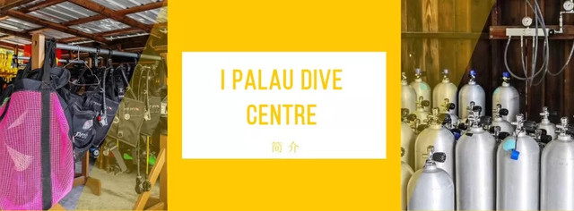 帕劳不潜水旅游攻略,帕劳自由行最值得去的潜水天堂