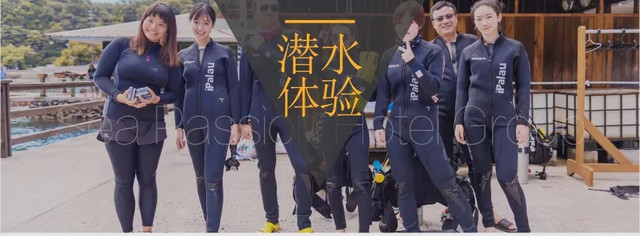 帕劳不潜水旅游攻略,帕劳自由行最值得去的潜水天堂