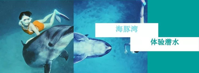 帕劳不潜水旅游攻略,帕劳自由行最值得去的潜水天堂