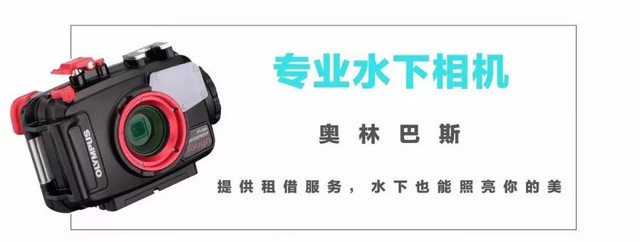 帕劳不潜水旅游攻略,帕劳自由行最值得去的潜水天堂