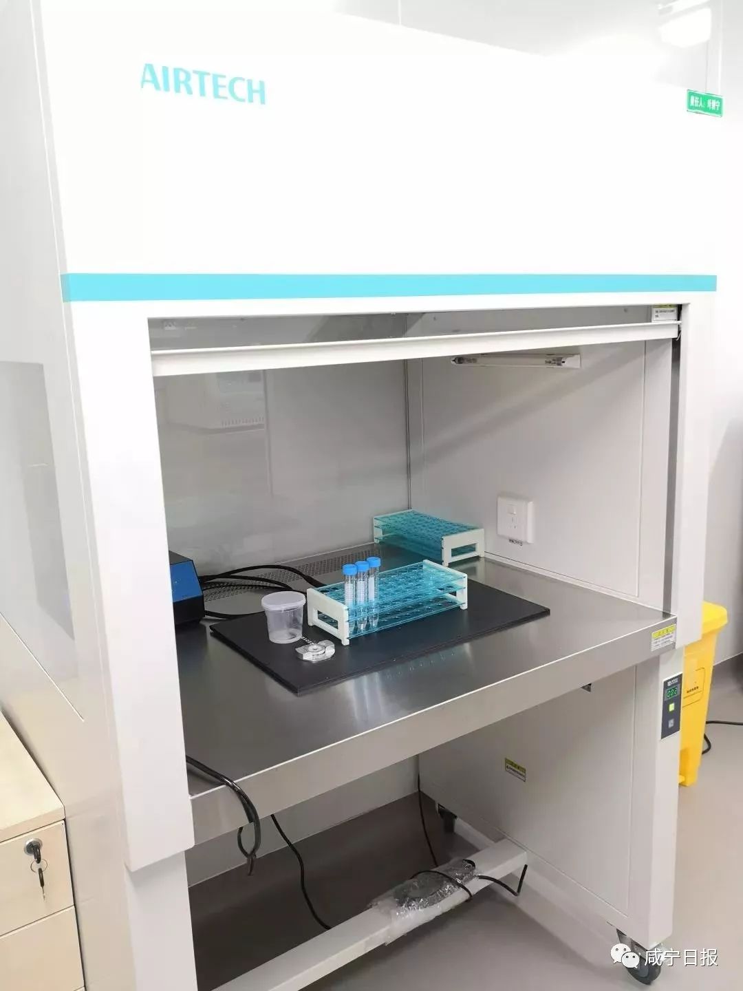 今天想跟你聊聊“羞羞”的事儿，和精子卵子有关