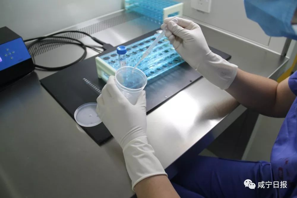 今天想跟你聊聊“羞羞”的事儿，和精子卵子有关