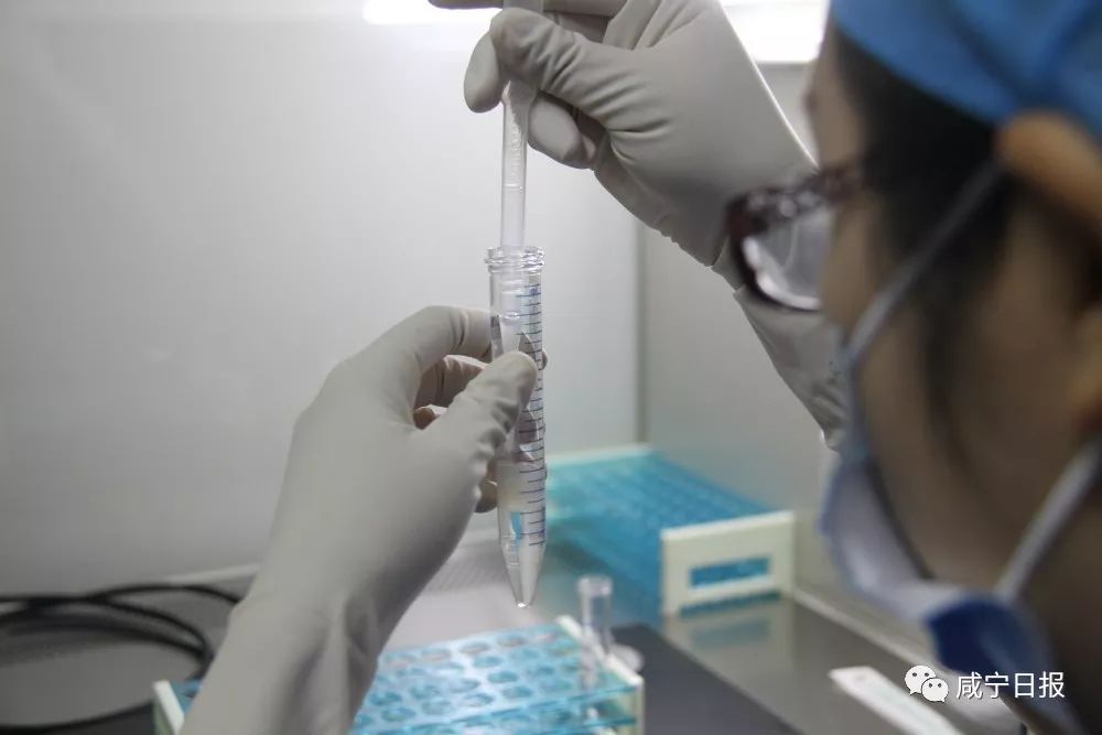 今天想跟你聊聊“羞羞”的事儿，和精子卵子有关