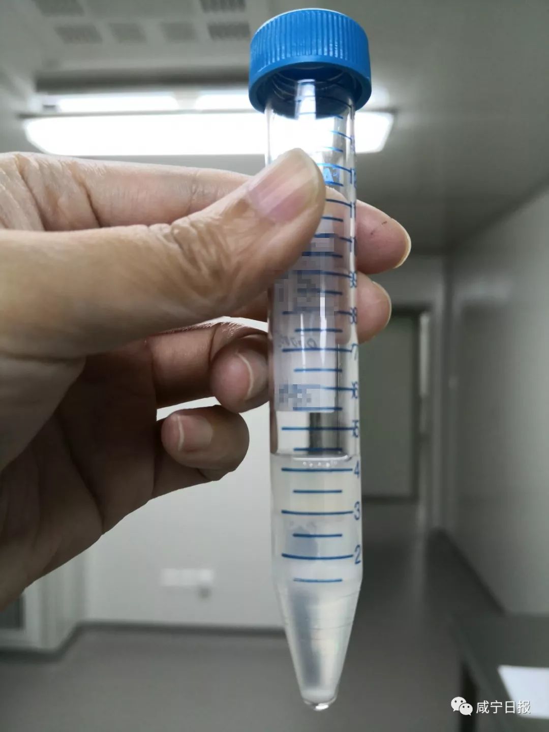 今天想跟你聊聊“羞羞”的事儿，和精子卵子有关