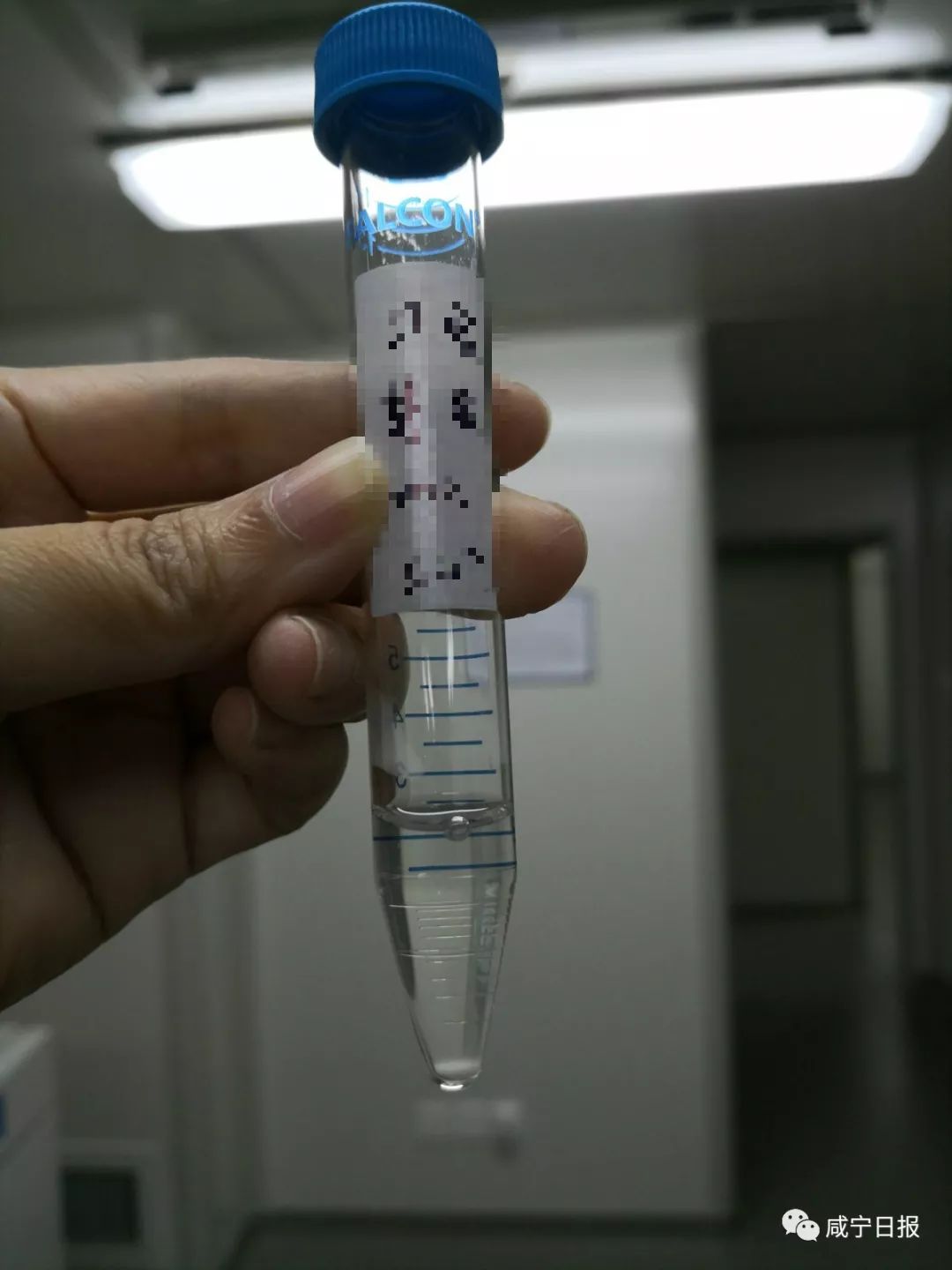 今天想跟你聊聊“羞羞”的事儿，和精子卵子有关