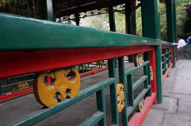 蝙蝠是怎么来的有什么寓意,长相怪异的蝙蝠