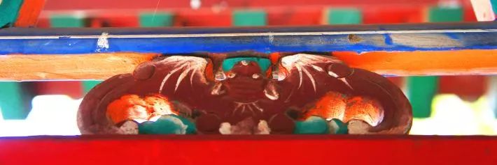 蝙蝠是怎么来的有什么寓意,长相怪异的蝙蝠